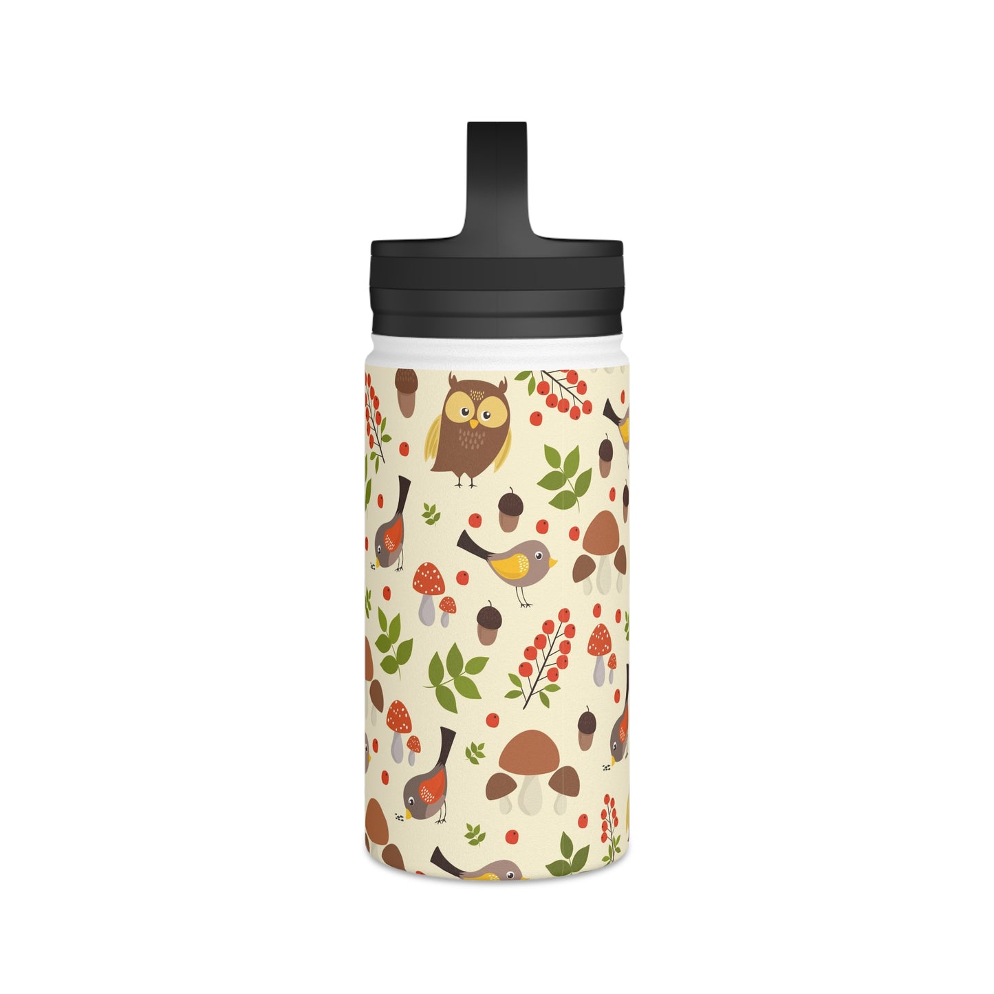 Back To School Birds & Owls Stainless Steel Water Bottle, Handle Lid