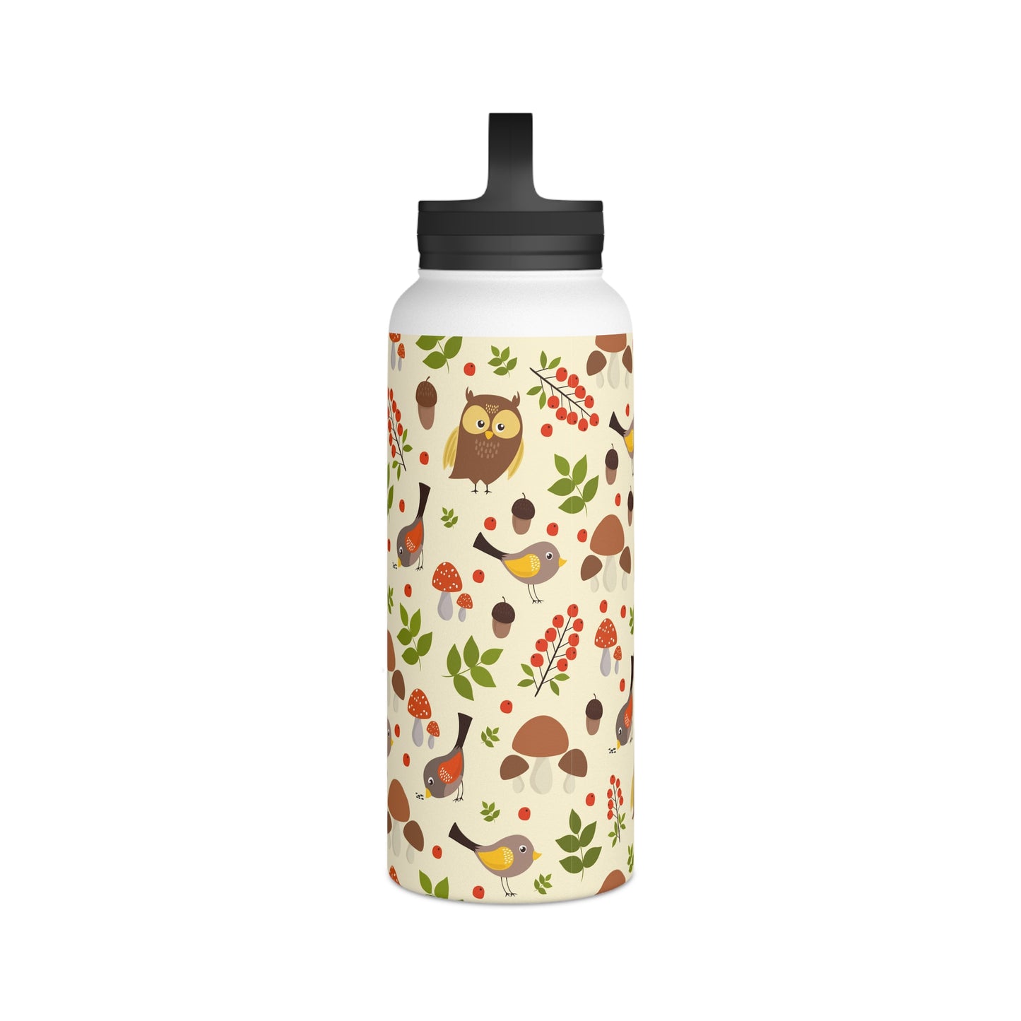 Back To School Birds & Owls Stainless Steel Water Bottle, Handle Lid