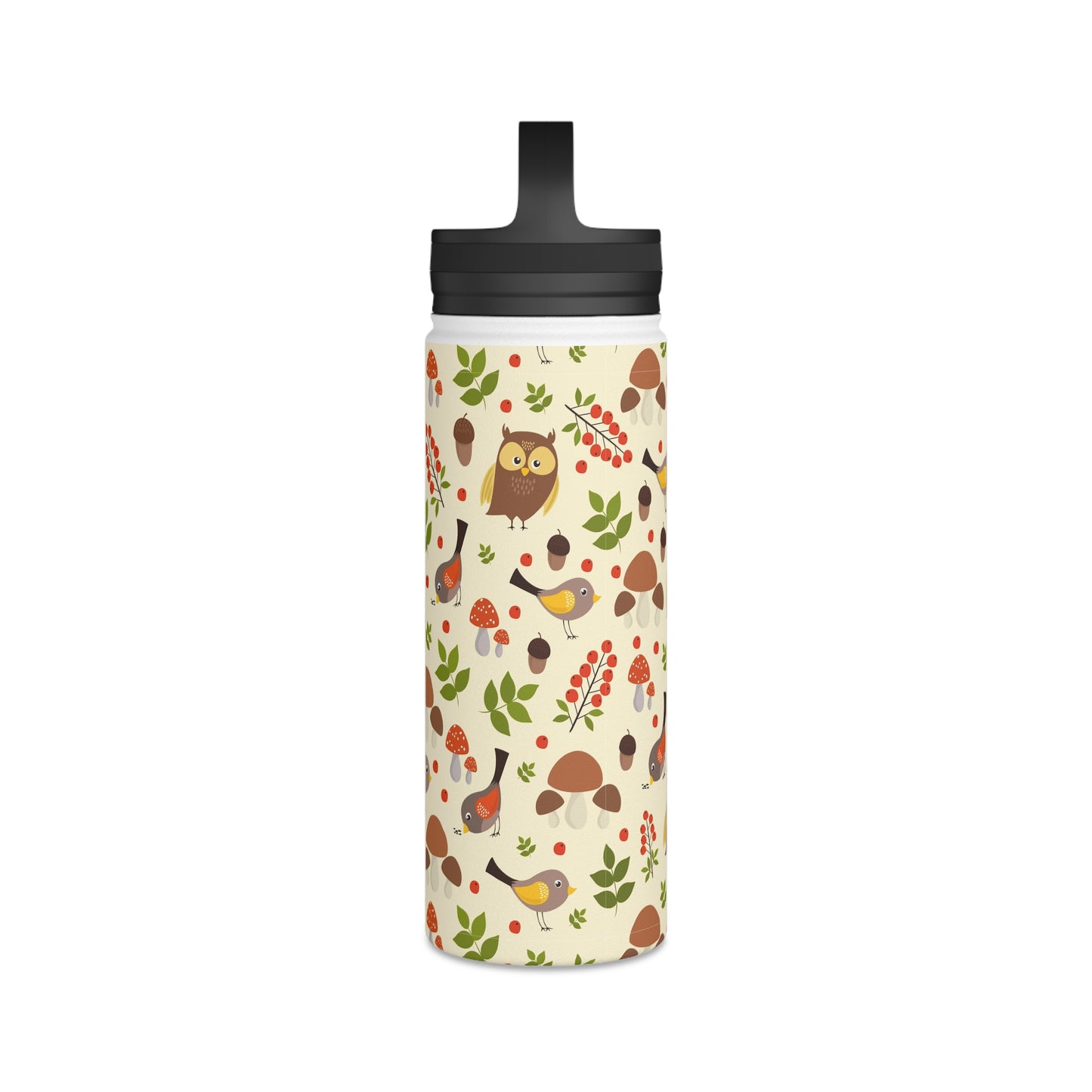 Back To School Birds & Owls Stainless Steel Water Bottle, Handle Lid