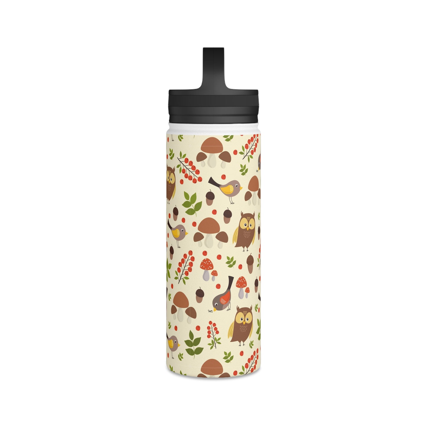 Back To School Birds & Owls Stainless Steel Water Bottle, Handle Lid
