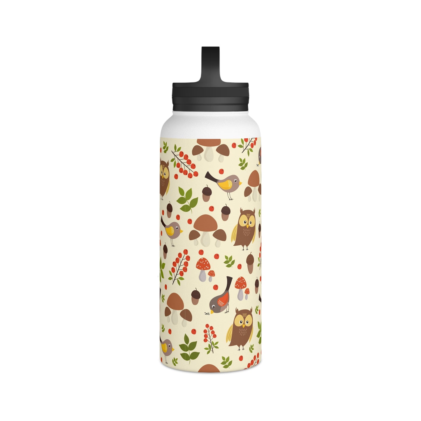 Back To School Birds & Owls Stainless Steel Water Bottle, Handle Lid