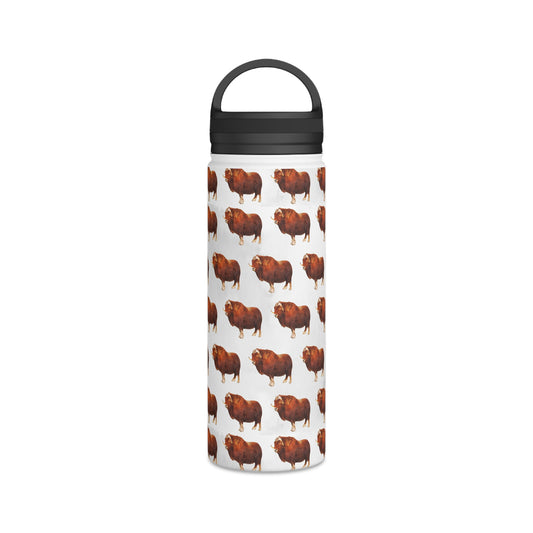 Back To School Animals Stainless Steel Water Bottle, Handle Lid